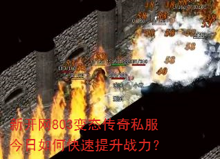 新开网803变态传奇私服今日如何快速提升战力? 新开网803变态传奇私服今日如何快速提升战力?