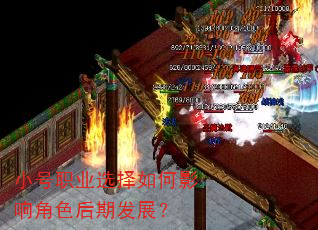С��ְҵѡ�����Ӱ���ɫ���ڷ�չ��
