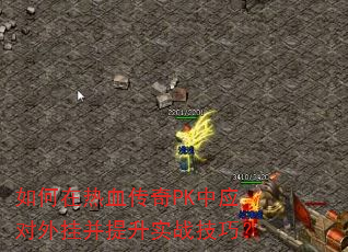 如何在热血传奇PK中应对外挂并提升实战技巧? 如何在热血传奇PK中应对外挂并提升实战技巧?