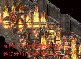 如何在长久传奇私服中快速提升角色等级与装备? 如何在长久传奇私服中快速提升角色等级与装备?