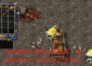 传奇单职业辅助如何选择?最强辅助排行与实战技巧全解析 传奇单职业辅助如何选择?最强辅助排行与实战技巧全解析