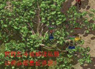 荒野乱斗破解版私服如何获取最新资源? 荒野乱斗破解版私服如何获取最新资源?