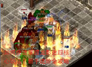 如何快速掌握龙影迷踪核心玩法?新手进阶全攻略 如何快速掌握龙影迷踪核心玩法?新手进阶全攻略